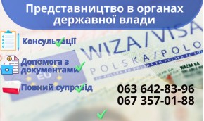 Представительство в органах государственной власти Представительство в органах государственной власти